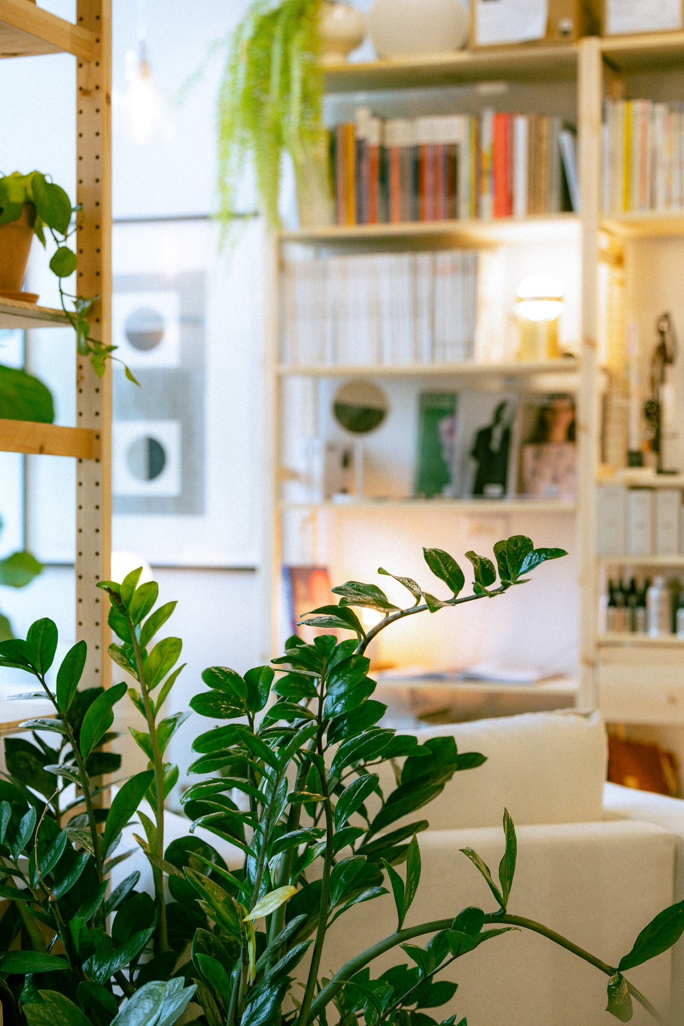 The Shop | Plan Your Visit