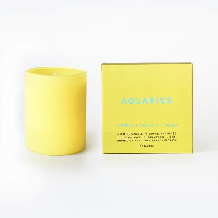BOTANICA · Aquarius Zodiac 8 oz. Candle | socius design in Rochester, MN