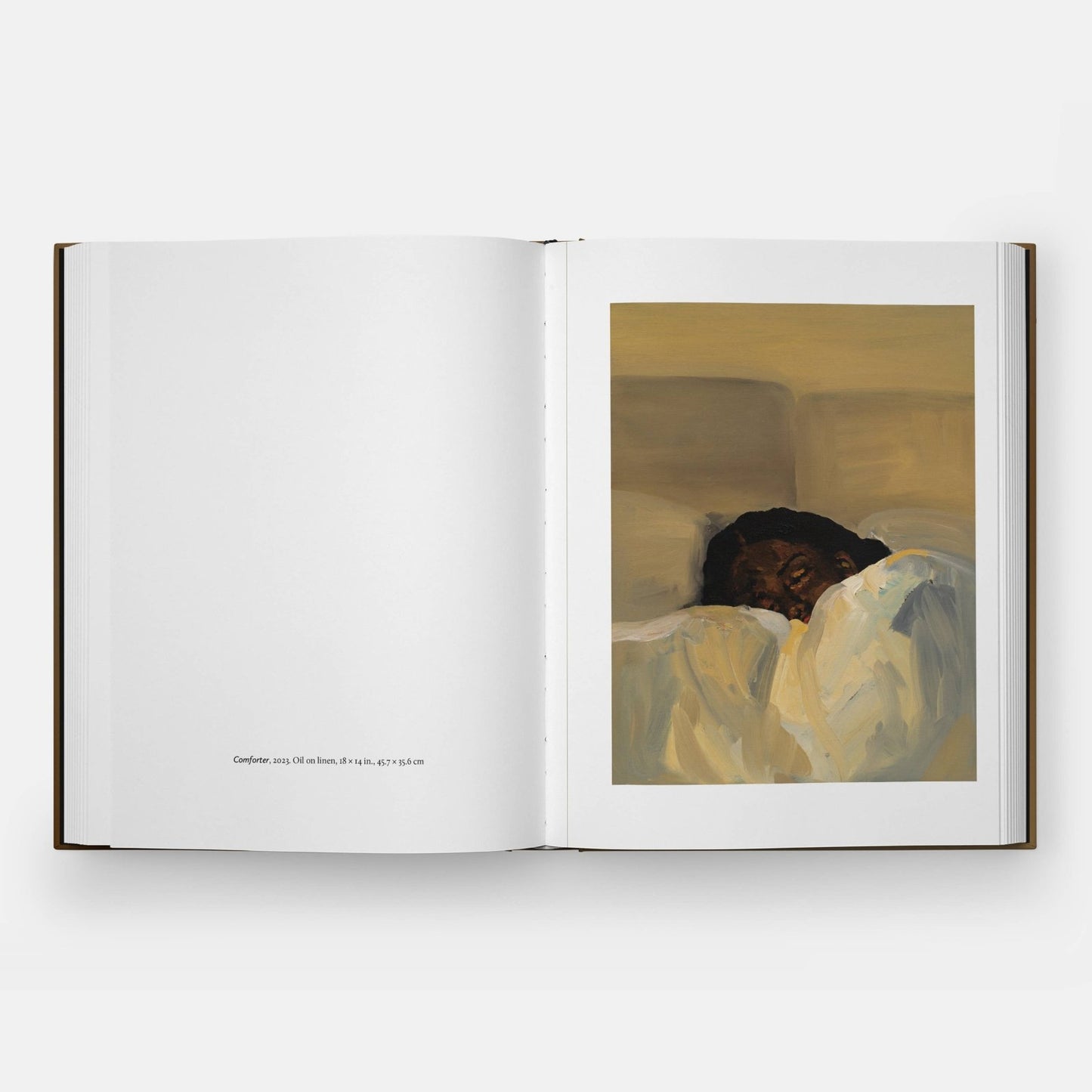 Phaidon · Danielle Mckinney: Beyond the Brushstroke | socius design in Rochester, MN