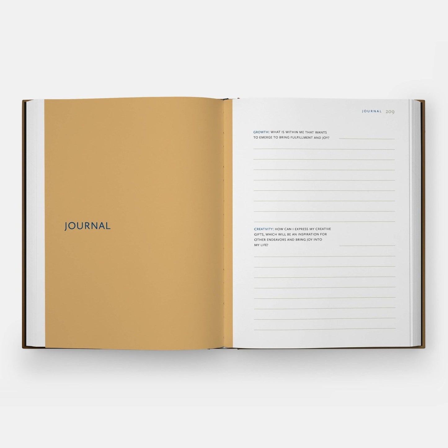 Phaidon · Danielle Mckinney: Beyond the Brushstroke | socius design in Rochester, MN