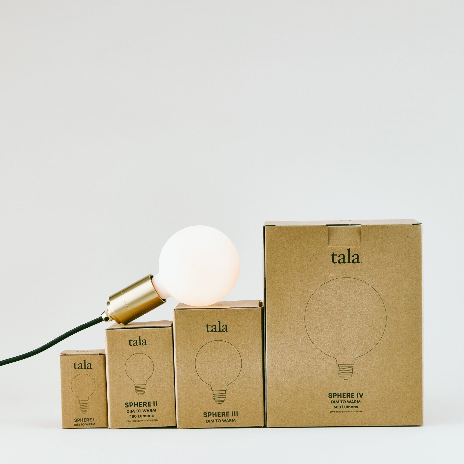 Light Bulbs - socius design