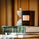 Le Grand Ojai Nuit Candle · 14 oz