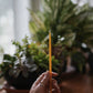Slow Burn · 9" Pure Beeswax Slim Taper Candle | socius design in Rochester, MN