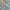School House Cotton Check · 13 yds