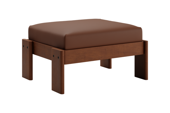 The Bacana Ottoman in Cactus Leather