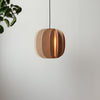 Fin II Pendant