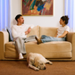 The Eclipse Sleeper Sofa in Upcycled Poly