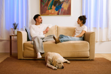 The Eclipse Sleeper Sofa in Upcycled Poly