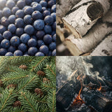 Juniper Birch Mini Reed Diffuser