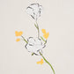 Schumacher · Alex's Floral Wallpaper | socius design in Rochester, MN