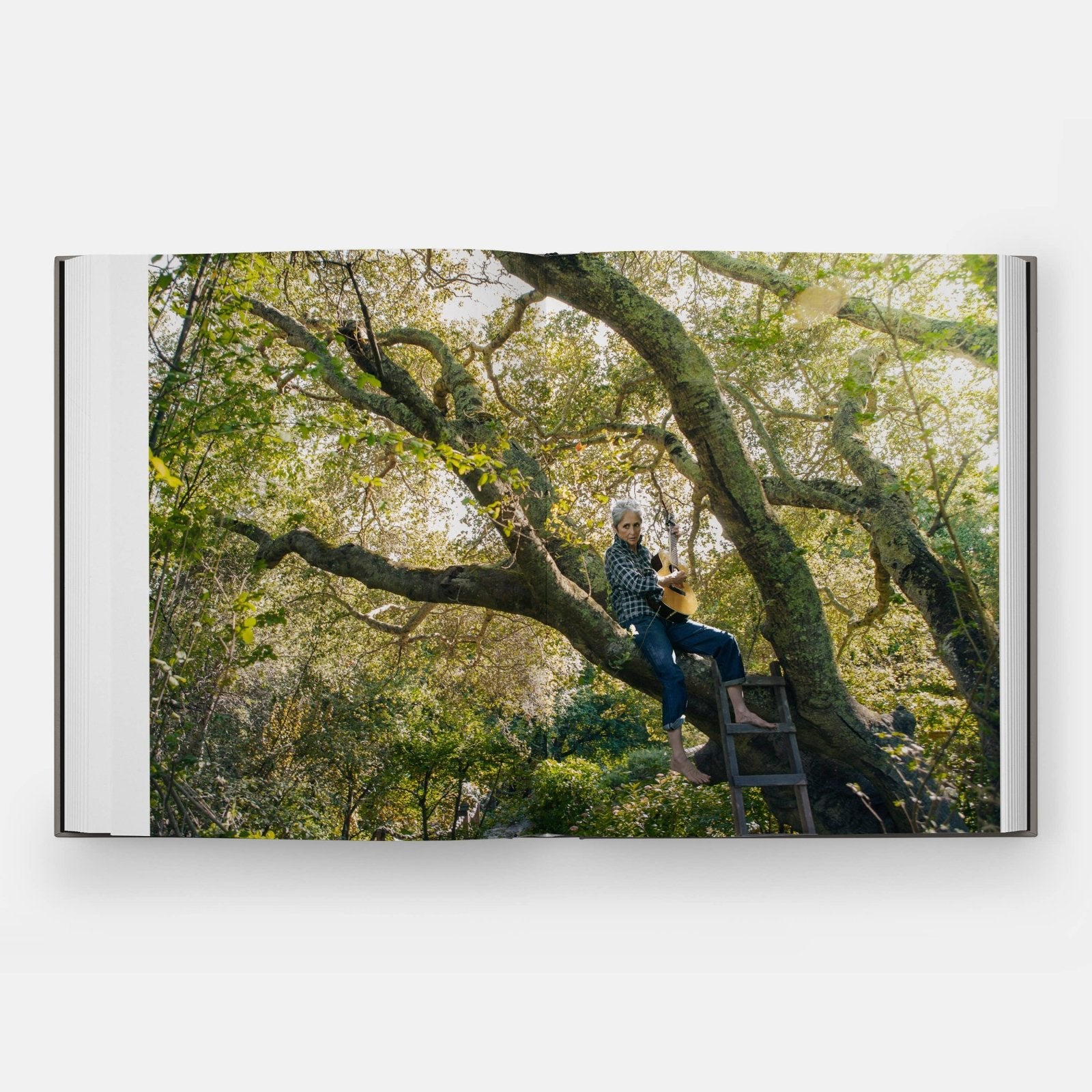 Phaidon · Annie Leibovitz: Women | socius design in Rochester, MN