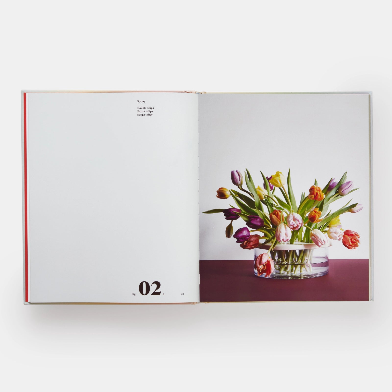 Phaidon · Art in Flower | socius design in Rochester, MN