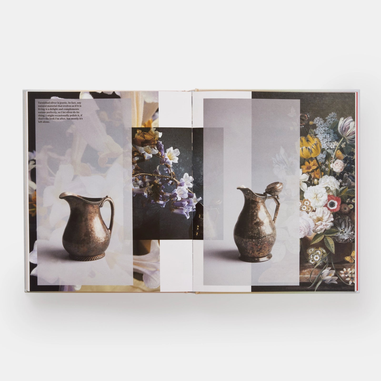 Phaidon · Art in Flower | socius design in Rochester, MN