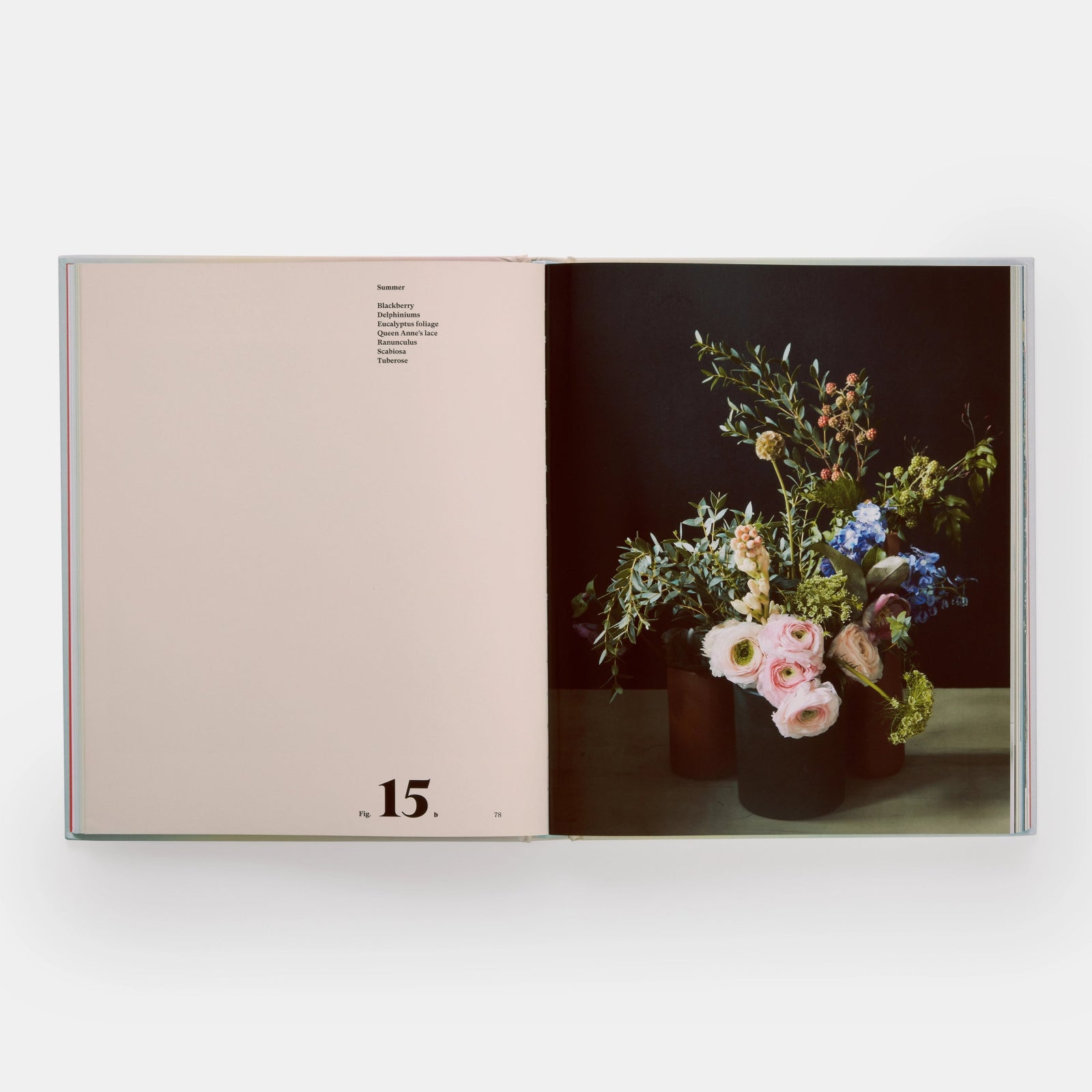 Phaidon · Art in Flower | socius design in Rochester, MN