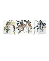 Field Notes · Birds & Trees of N. America · Field Notes Memo - Pack | socius design in Rochester, MN