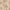 York · Blaise Pre - pasted Wallpaper | socius design in Rochester, MN