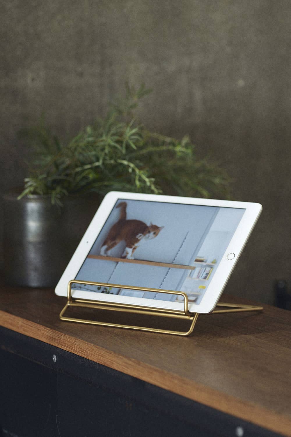 Fog Linen Work · Brass Book Stand | socius design in Rochester, MN