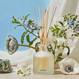 APOTHEKE · Canvas Reed Diffuser | socius design in Rochester, MN