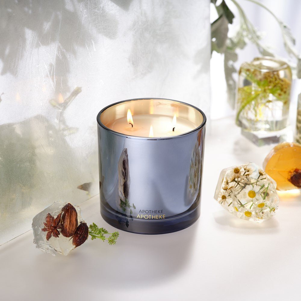 APOTHEKE · Cardamom Chestnut 3-Wick Candle | socius design in Rochester, MN