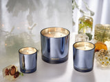 APOTHEKE · Cardamom Chestnut Classic Candle | socius design in Rochester, MN