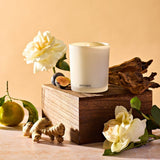 APOTHEKE · Cedarwood Ginger Classic Candle | socius design in Rochester, MN