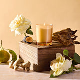 APOTHEKE · Cedarwood Ginger Petite Candle | socius design in Rochester, MN