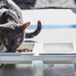 Yamazaki Home · Ceramic Pet Food Bowl | socius design in Rochester, MN