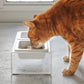 Yamazaki Home · Ceramic Pet Food Bowl | socius design in Rochester, MN