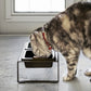 Yamazaki Home · Ceramic Pet Food Bowl | socius design in Rochester, MN