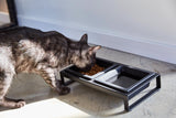 Yamazaki Home · Ceramic Pet Food Bowl | socius design in Rochester, MN