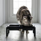 Yamazaki Home · Ceramic Pet Food Bowl | socius design in Rochester, MN