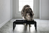 Yamazaki Home · Ceramic Pet Food Bowl | socius design in Rochester, MN