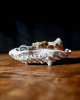 Puebco · Ceramic Shell Tray · Oyster | socius design in Rochester, MN