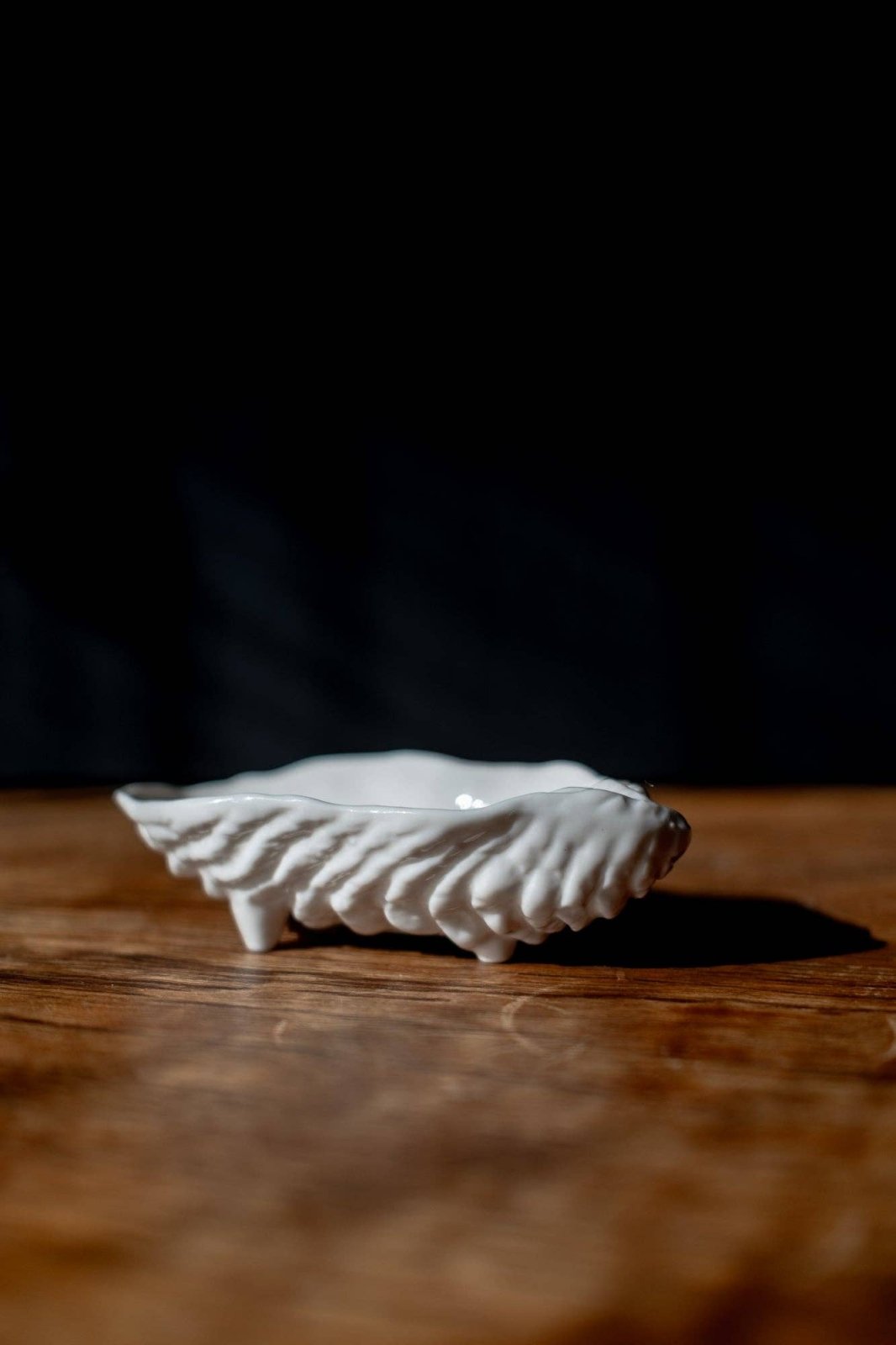 Puebco · Ceramic Shell Tray · Oyster | socius design in Rochester, MN