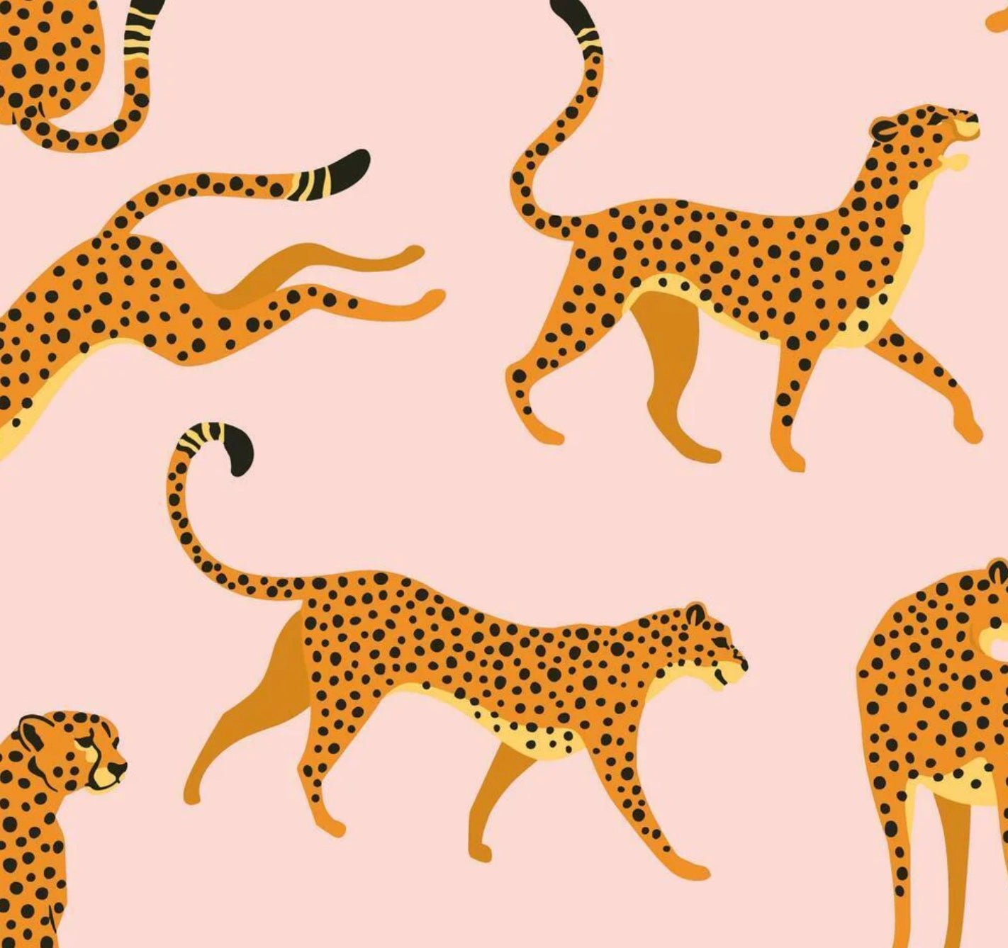 York · Cheetah Cheetah Peel & Stick Wallpaper | socius design in Rochester, MN