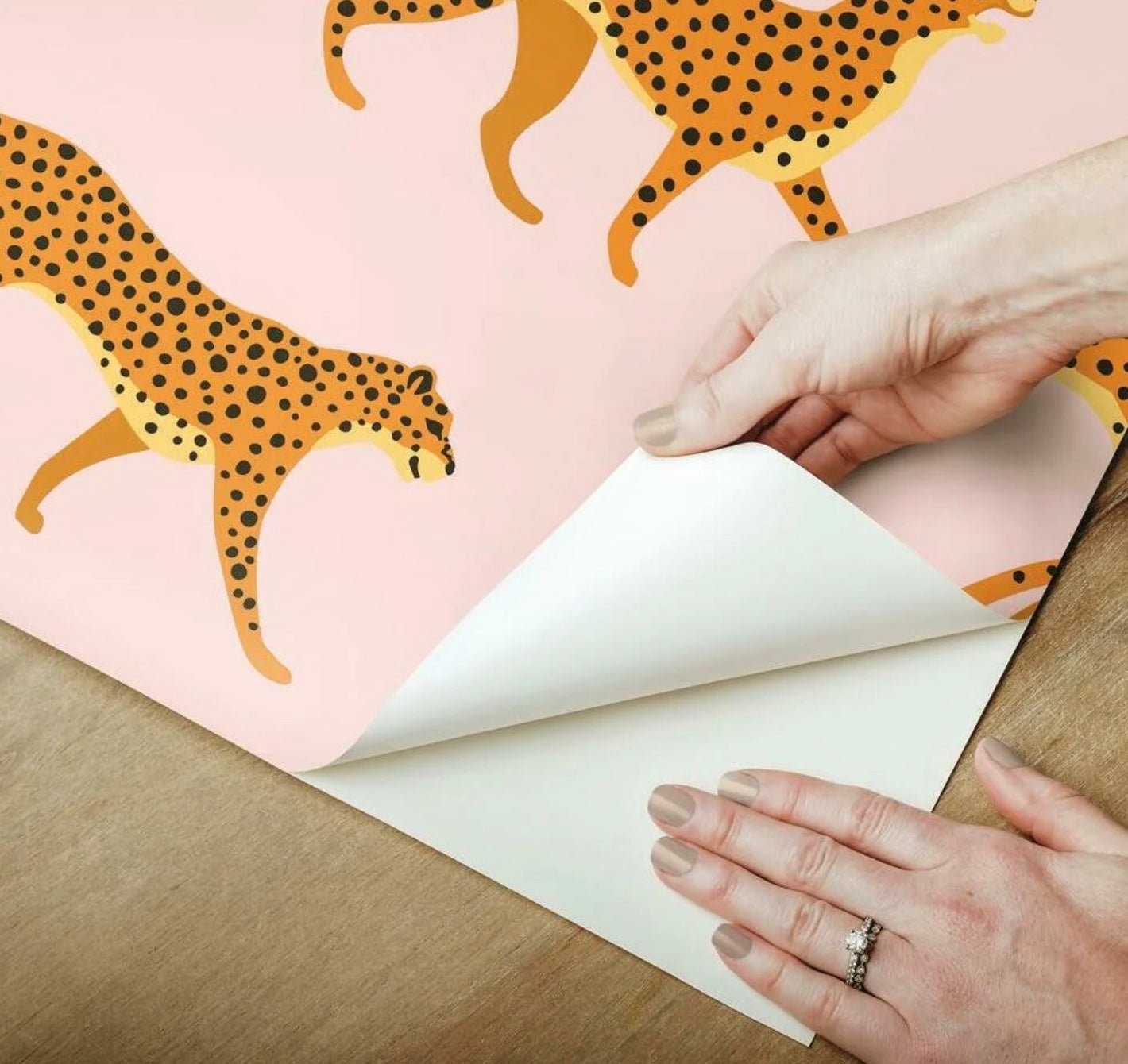 York · Cheetah Cheetah Peel & Stick Wallpaper | socius design in Rochester, MN