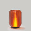 Wooj Design · Cordless Mini Allium Lamp | socius design in Rochester, MN