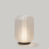 Wooj Design · Cordless Mini Allium Lamp | socius design in Rochester, MN