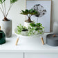 Yamazaki Home · Countertop Pedestal Tray (5" H) · Steel + Wood | socius design in Rochester, MN