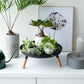 Yamazaki Home · Countertop Pedestal Tray (5" H) · Steel + Wood | socius design in Rochester, MN