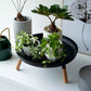 Yamazaki Home · Countertop Pedestal Tray (5" H) · Steel + Wood | socius design in Rochester, MN