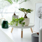 Yamazaki Home · Countertop Pedestal Tray (5" H) · Steel + Wood | socius design in Rochester, MN