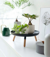 Yamazaki Home · Countertop Pedestal Tray (5" H) · Steel + Wood | socius design in Rochester, MN