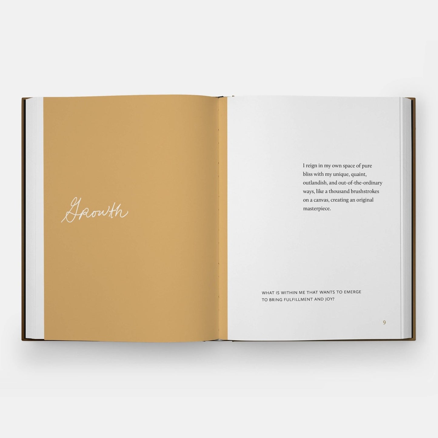 Phaidon · Danielle Mckinney: Beyond the Brushstroke | socius design in Rochester, MN