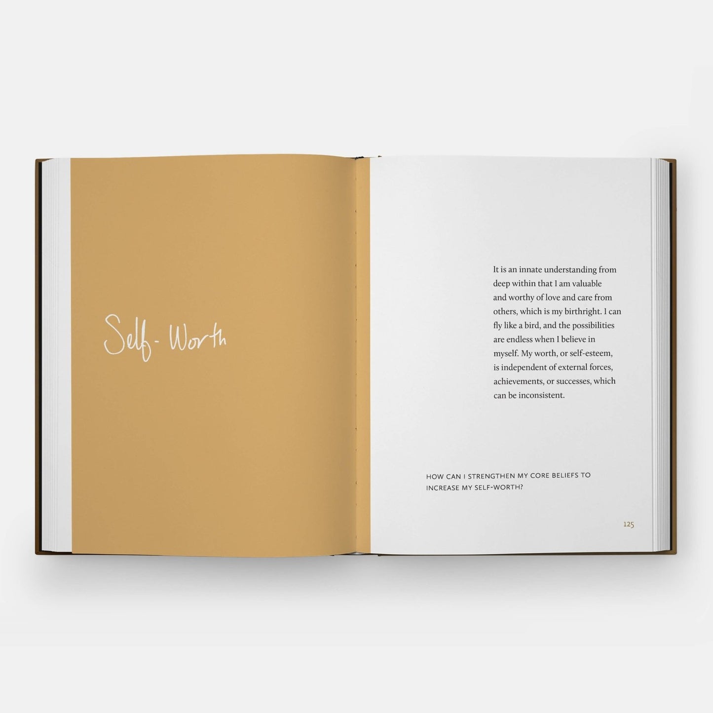 Phaidon · Danielle Mckinney: Beyond the Brushstroke | socius design in Rochester, MN