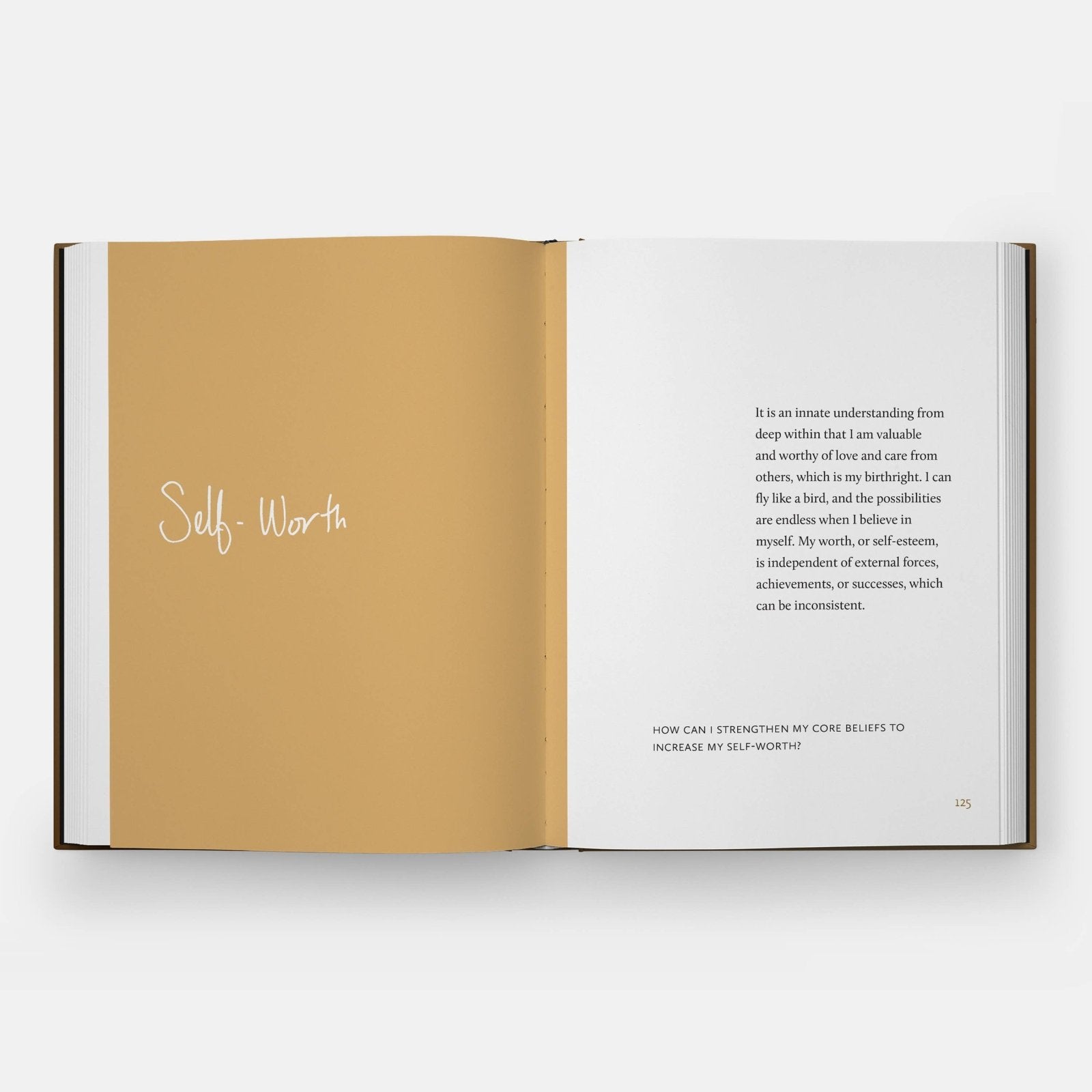 Phaidon · Danielle Mckinney: Beyond the Brushstroke | socius design in Rochester, MN