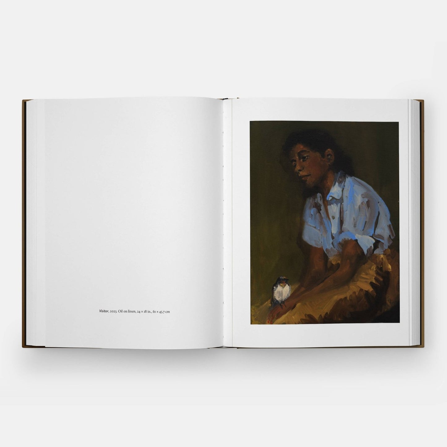 Phaidon · Danielle Mckinney: Beyond the Brushstroke | socius design in Rochester, MN