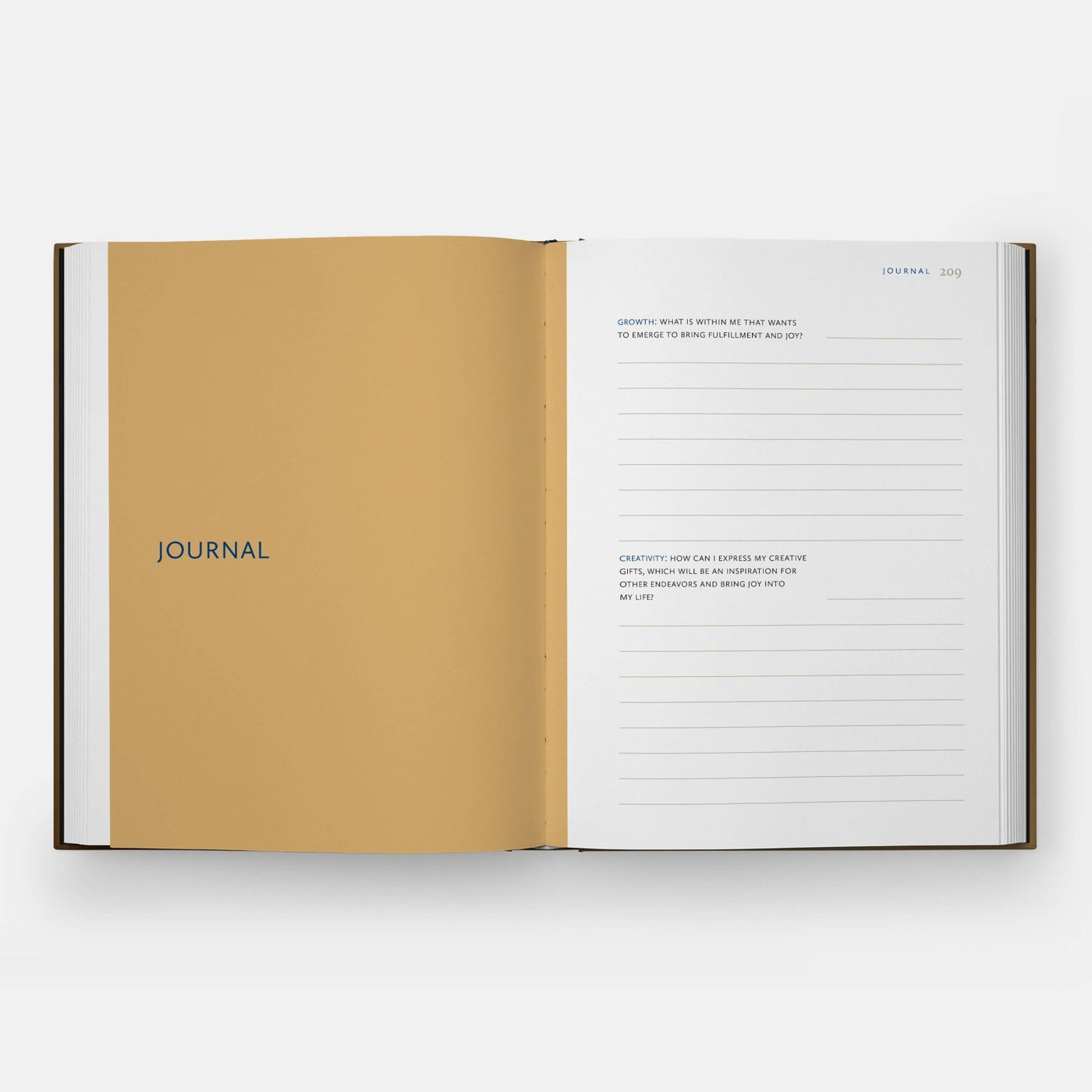 Phaidon · Danielle Mckinney: Beyond the Brushstroke | socius design in Rochester, MN