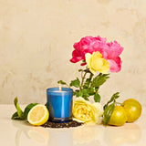 APOTHEKE · Earl Grey Bitters Petite Candle | socius design in Rochester, MN