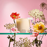 APOTHEKE · Elderflower Sugar 3-Wick Candle | socius design in Rochester, MN